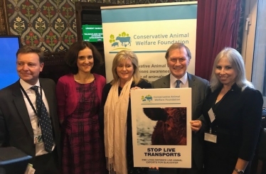 Ban Live Animal Exports event